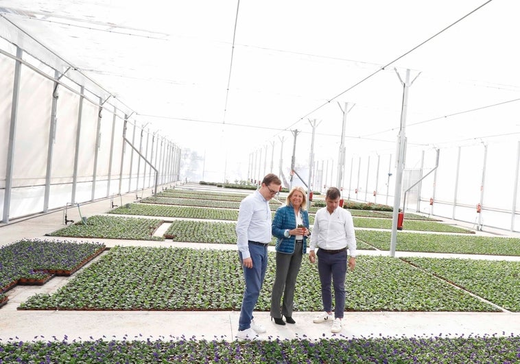 Marbella Apuesta Por La Sostenibilidad Y Produce M S De Plantas